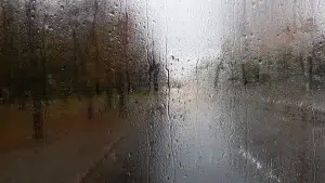 Foggy Glass