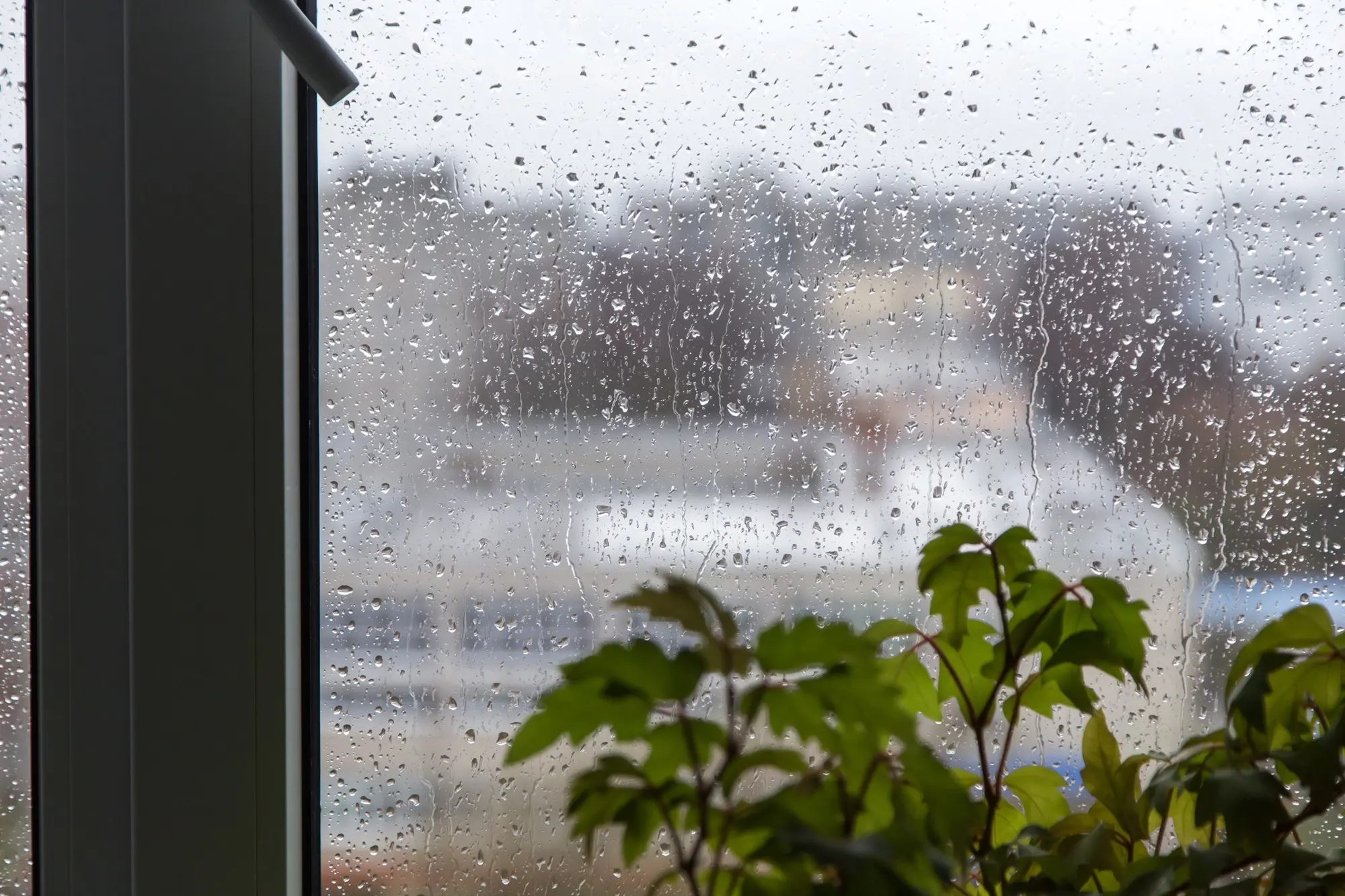 How to Stop Window Condensation: Expert Solutions and Prevention Tips