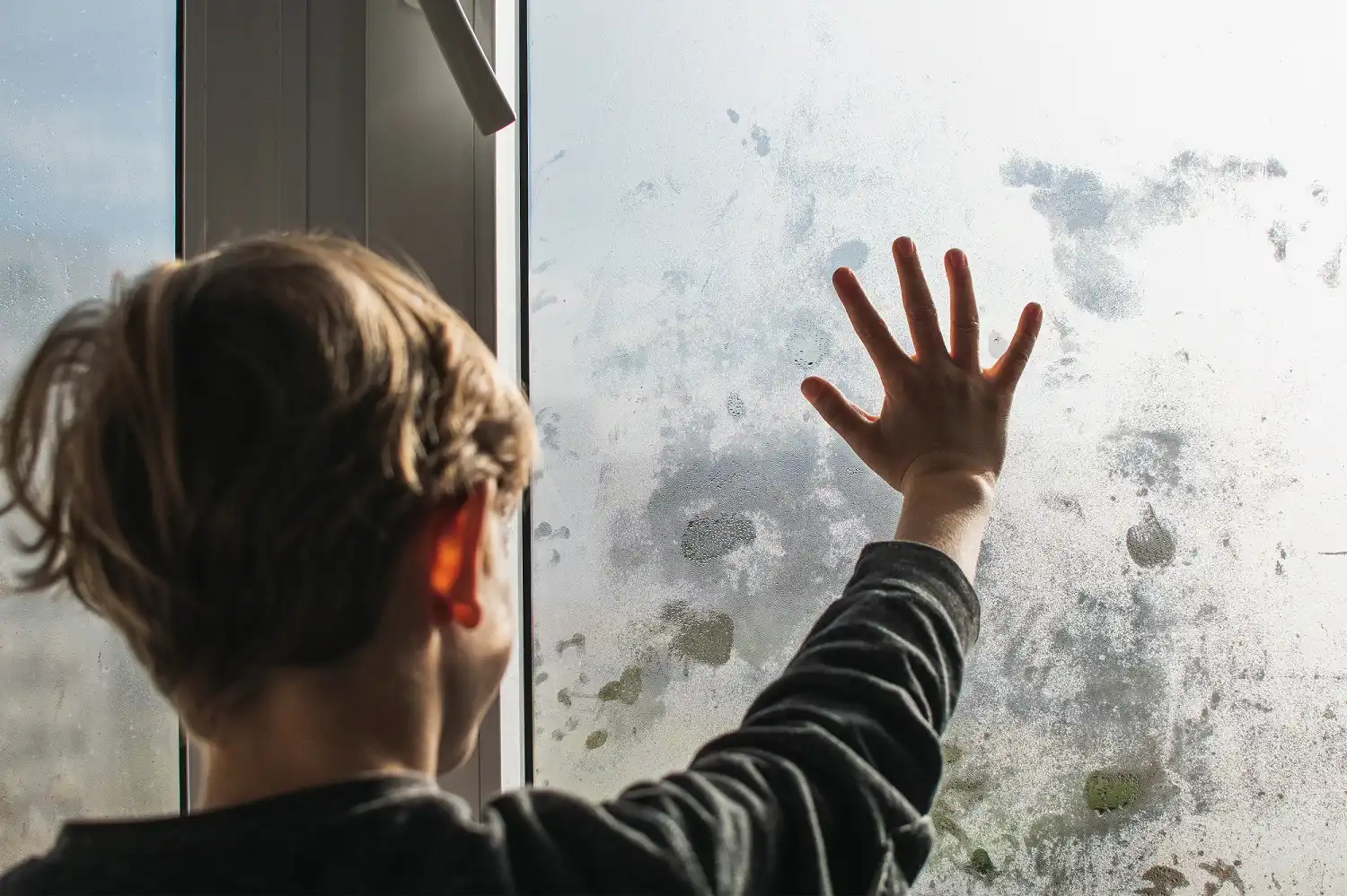 Your Complete Guide to Fixing Foggy Windows in Your House